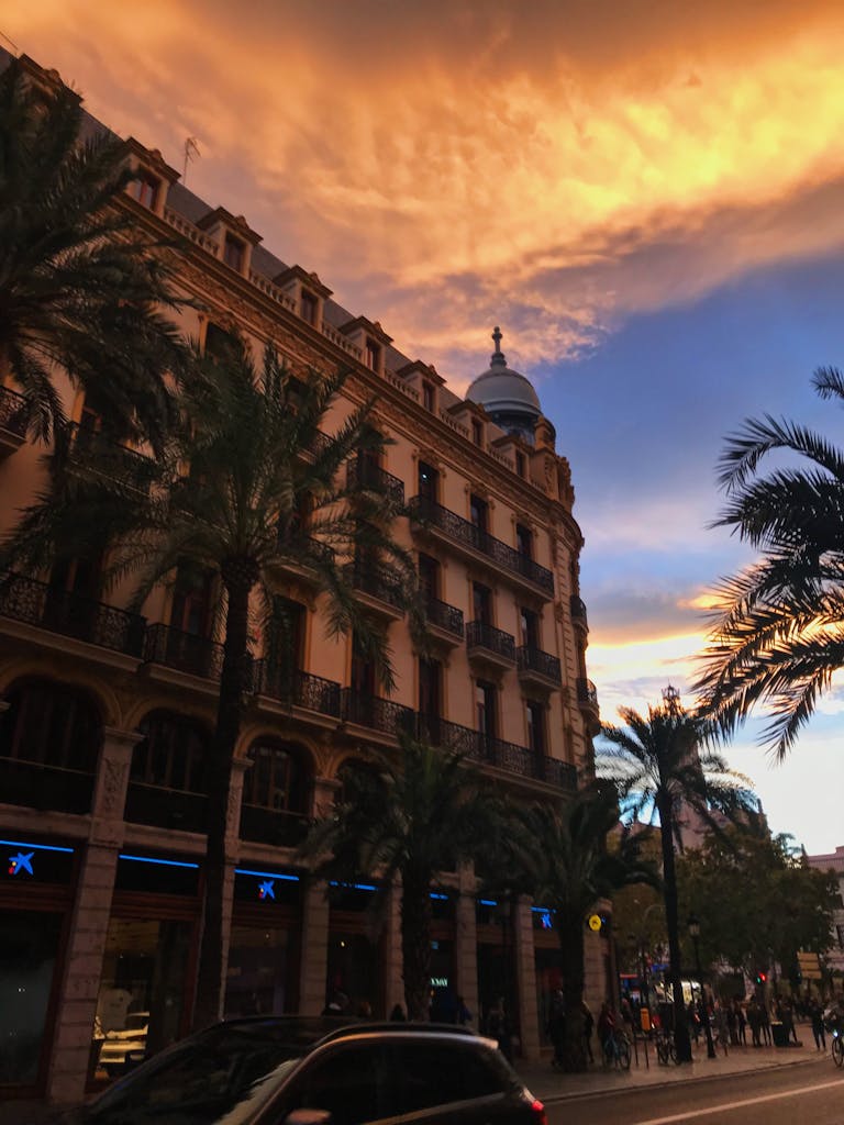 Historic Valencia street with palm trees under a stunning sunset sky, capturing the city's vibrant atmosphere.